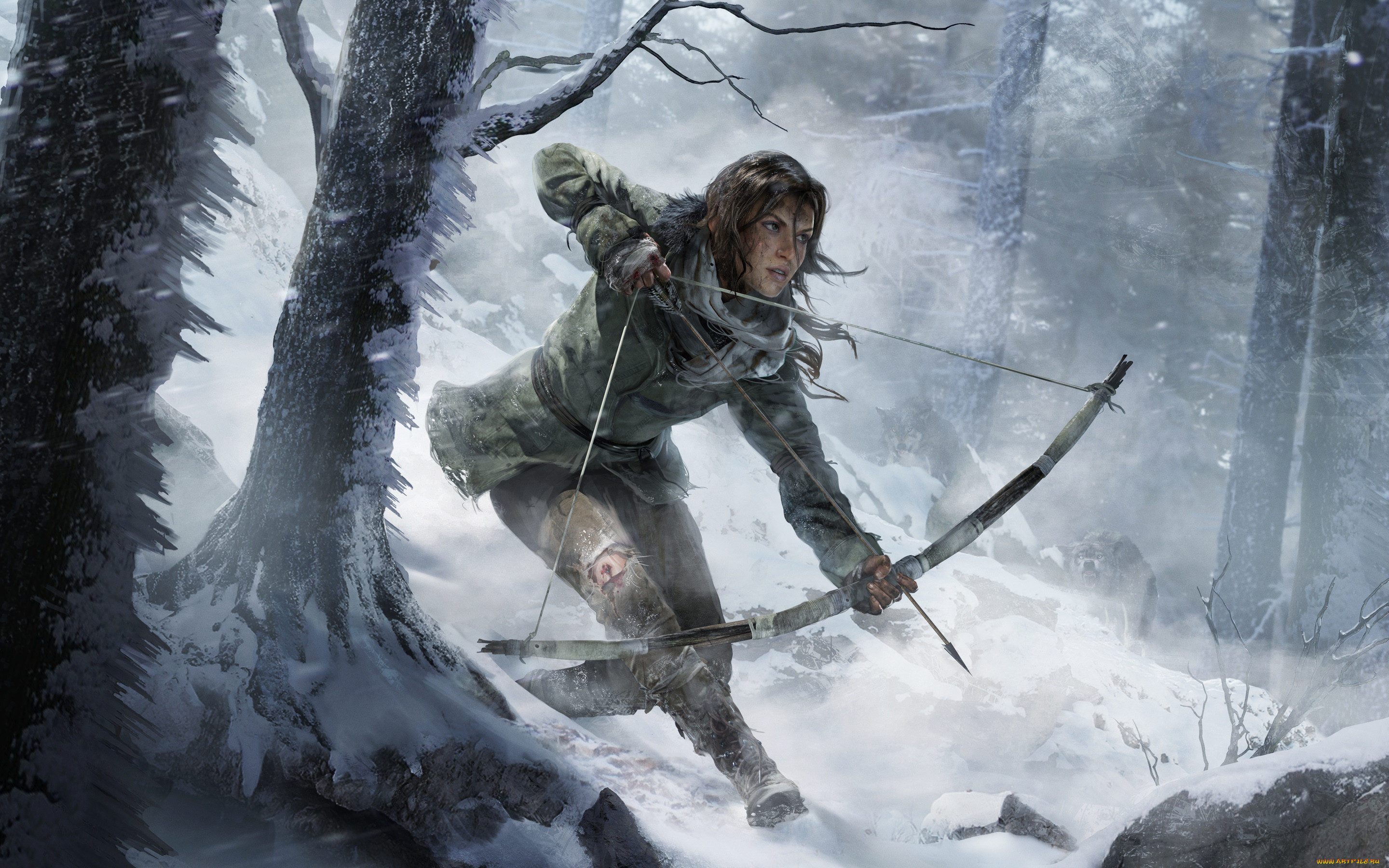 rise of the tomb raider,  , , , 2015